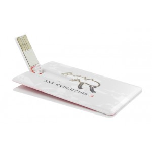 Webkey-Card